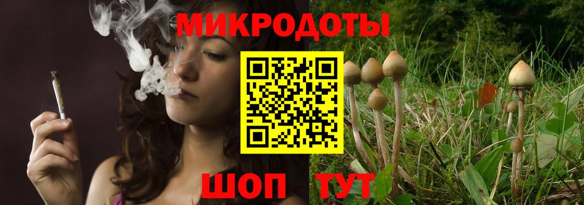 дарнет шоп  Вход с VPN  Галлюциногенные грибы Psilocybe  Советский  Галлюциногенные грибы MAGIC MUSHROOMS 